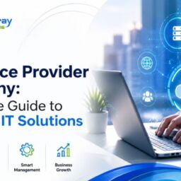 IT Service Provider Company