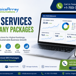 SEO Services Company Packages