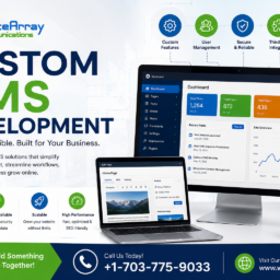 Custom CMS Development